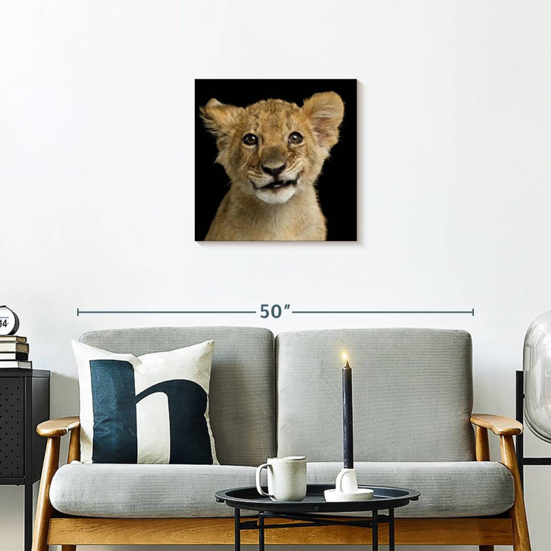 Brampt Baby Lion Head, 20" H x 20" W