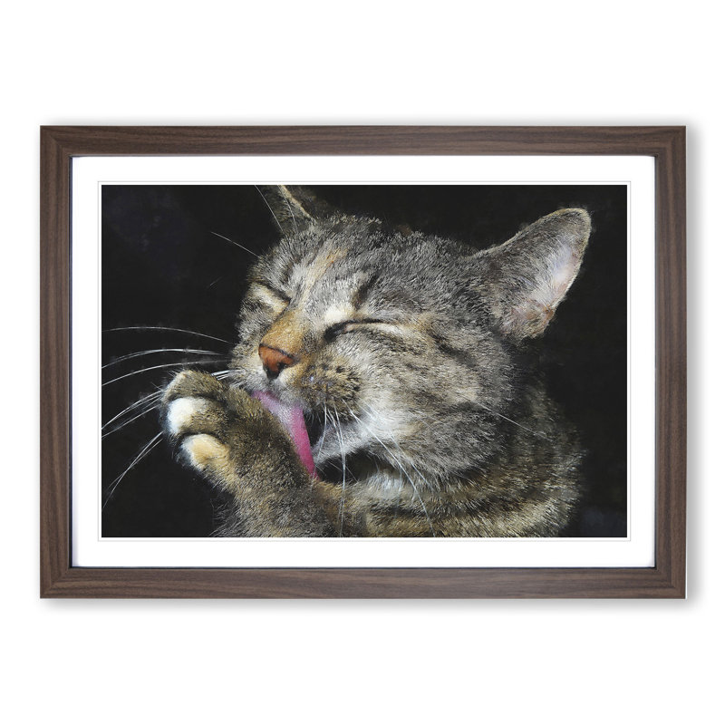 Portrait of a Cat Vol.11 - Picture Frame Painting, Walnut Framed, 36cm H x 48cm W x 2cm D