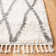 Triplett Fringe Shag Performance Abstract Rug