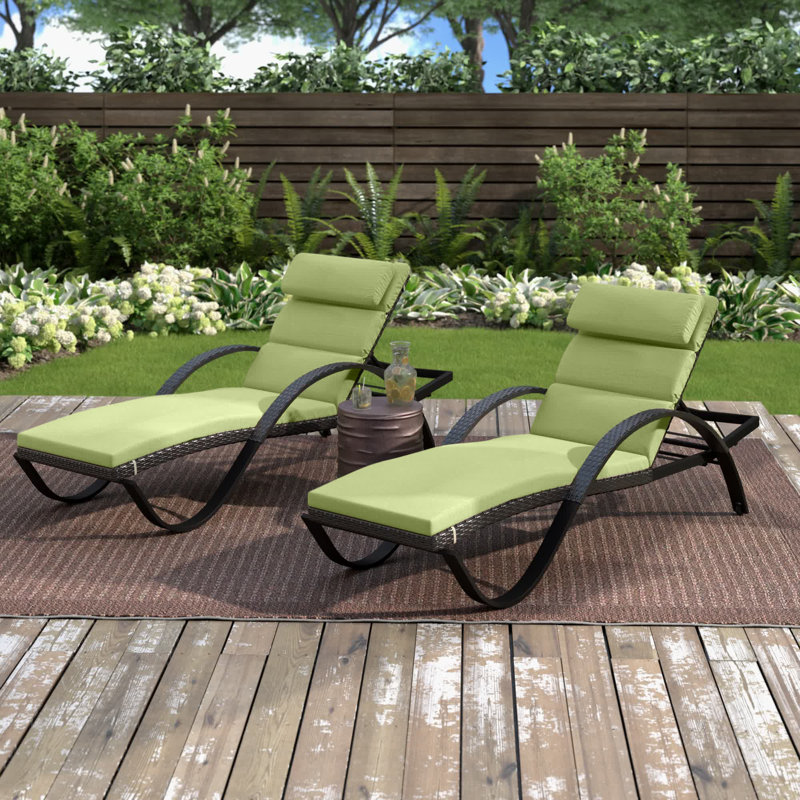 Fionnula Powder Coated Aluminum Reclining Patio Chaise Lounge Set, Canvas Ginkgo Sunbrella® Canvas