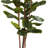Artificial Fiddle Leaf Fig Tree - 6FT Fake Plant with Pot and Natural Feel Leaves for Home or Office Decor - Artificial Plants Indoor