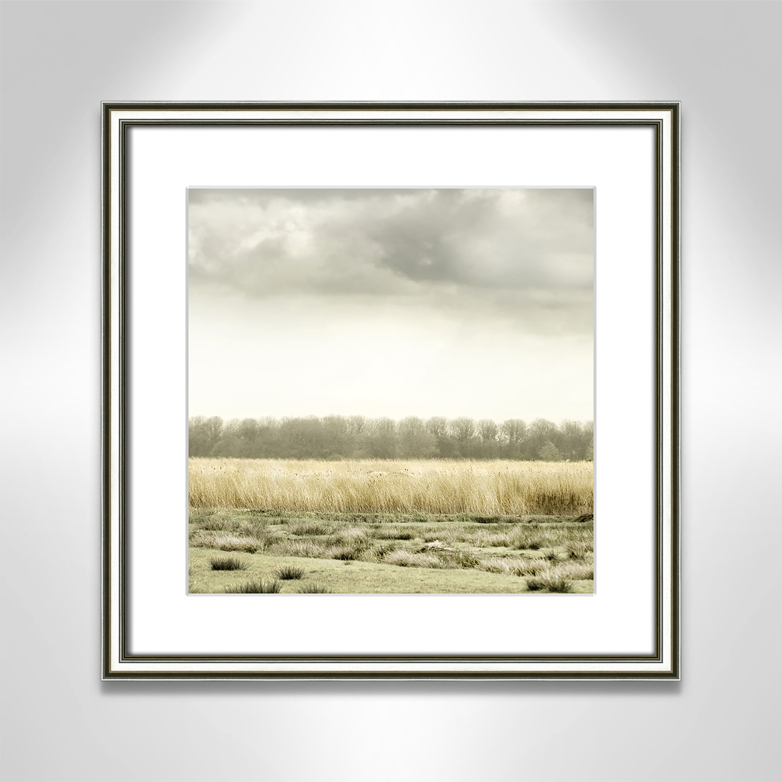 Henri "Meadowland" Print by Danita Delimont, 17" H x 17" W , Silver