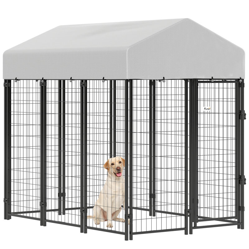 Abri de jardin pour chien avec cage et cage pour chien