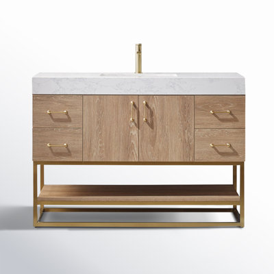 Alistair 48'' Single Bathroom Vanity