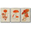 Mushroom Variétés IV, ensemble de 3 toiles encadrées-97708741-97708748