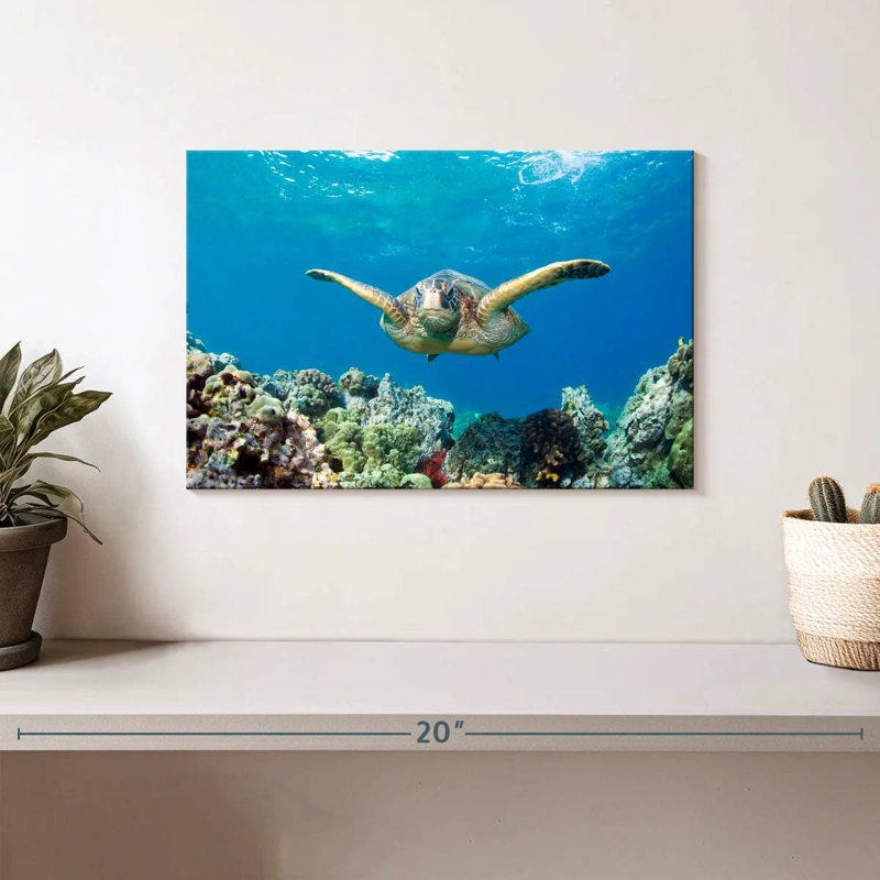 Maui Green Sea Turtle, 8" H x 12" W