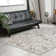 Chardarius 1240 Transitional Marbled Gray Area Rug