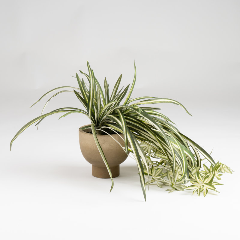 36cm Faux Spider Plant in Rustic Pot