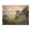 Aquarelle Zebra Garden III - impression moderne en bois noir sur bois de pin naturel-1123656722