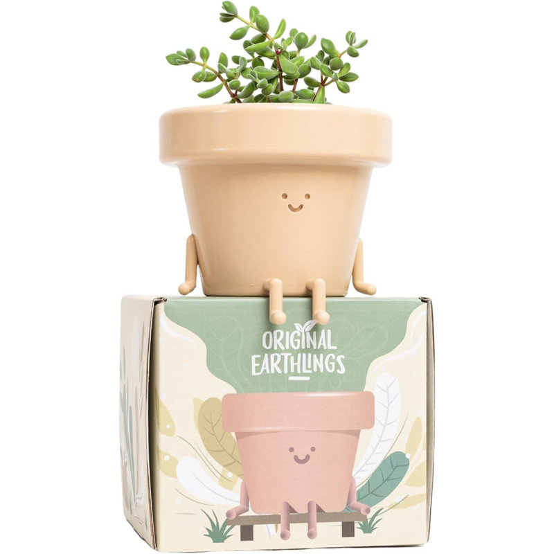 Cute Pots Pot Planter