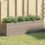 Planter Box-188704465