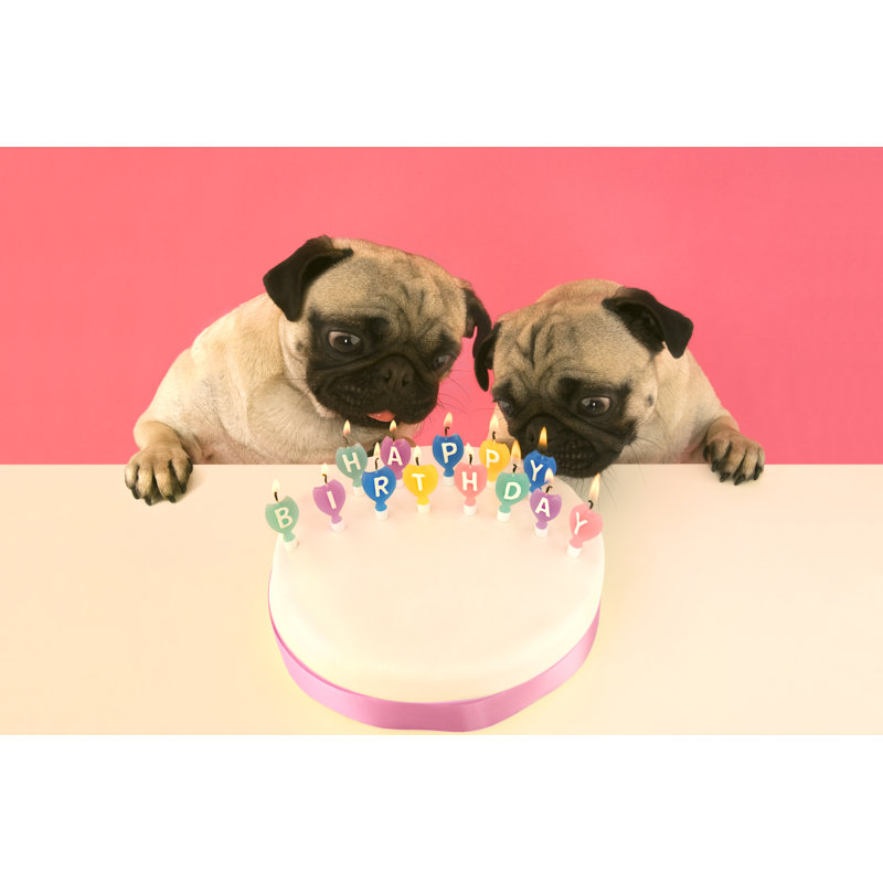 «Pug Dogs Off» par Mrpliskin, H 8 po x l 12 po