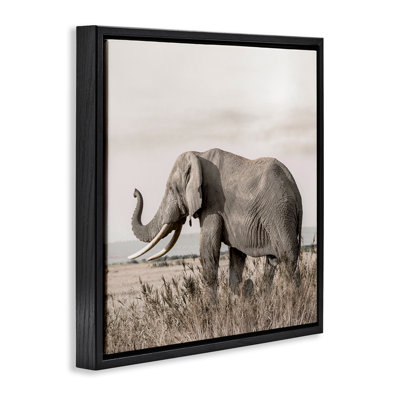 Éléphant serein dans la nature