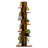 Eliades Bookcase-1173629716