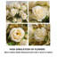 Faux fleurs artificielles pour la maison Kondieu-128927058