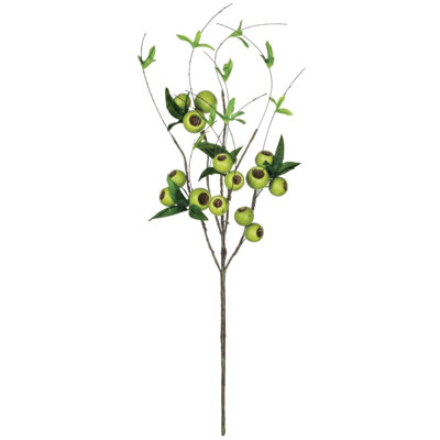 Pulvérisateur à baies avec feuilles pod