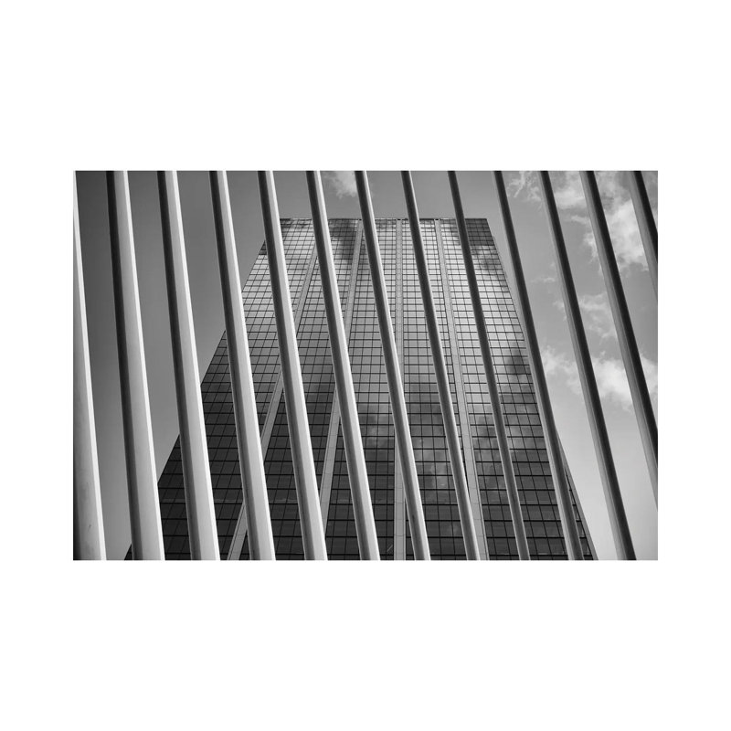 Barred by David Gardiner - Wrapped Canvas Print, 20.32cm H x 30.48cm W