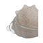 Triton Shell Blown Glass-1516507953