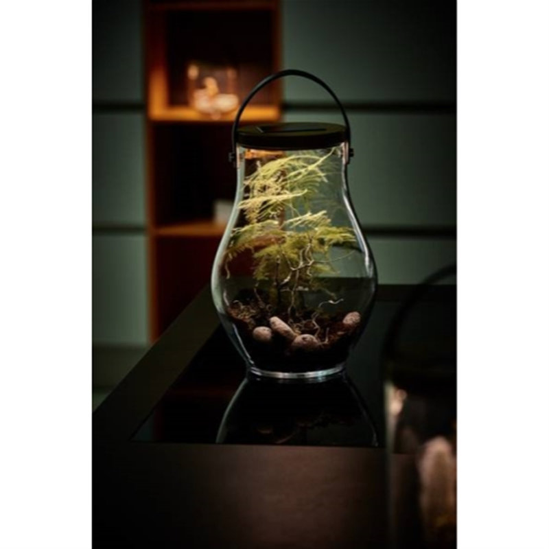 Shaniko Handmade Glass Decorative Bottle