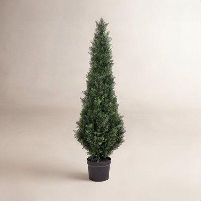 Yarbro Cedar Topiary in Pot