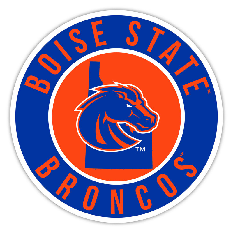 Boise State Bright Line - 16" Circle With State