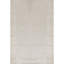 Area Rug in Ivory