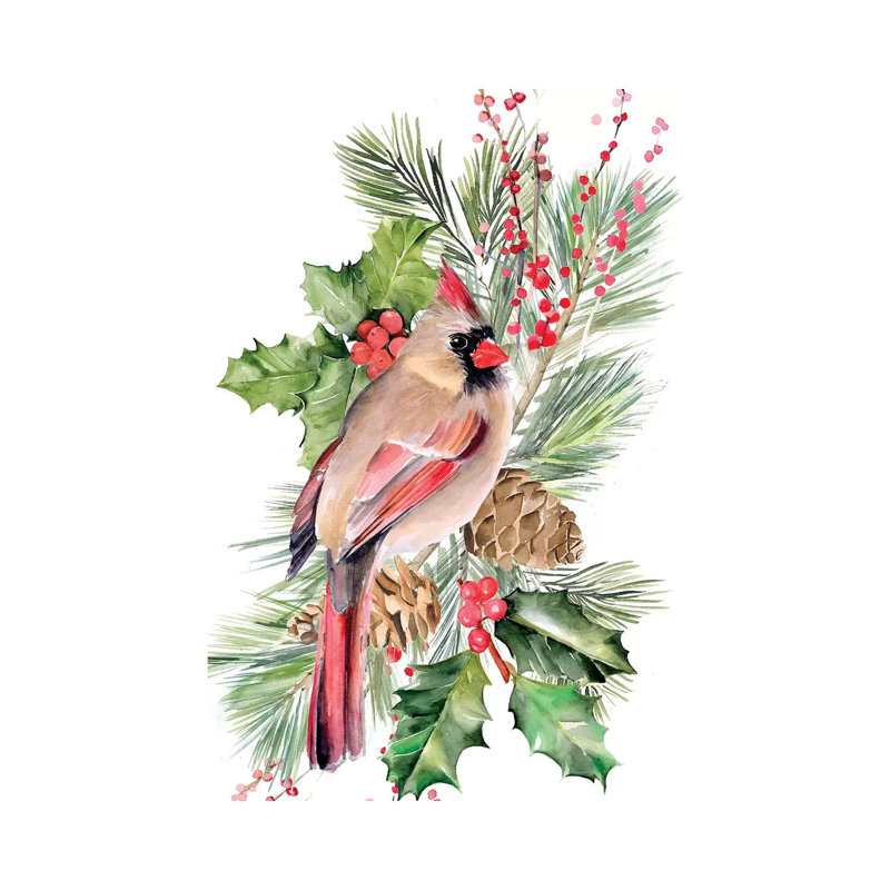 Cardinal Holly Christmas Collection B by Jennifer Paxton Parker - Wrapped Canvas Gallery-Wrapped Canvas Giclée