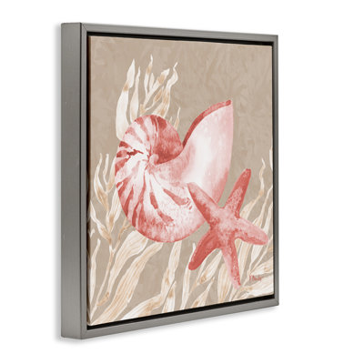 Peach Tampico Shells Floating Frame, design by Paul Brent