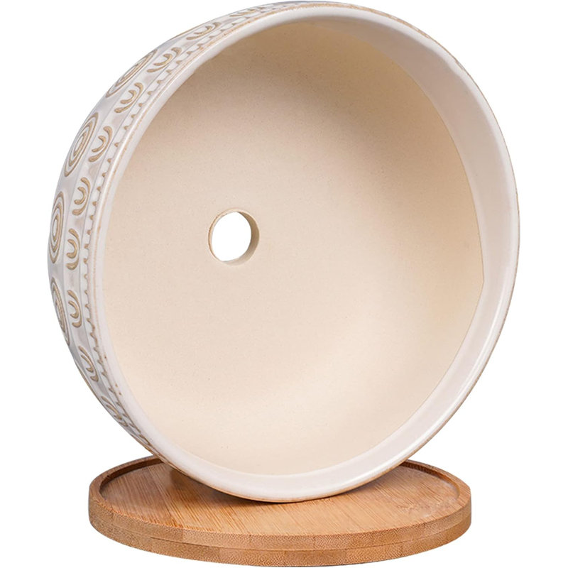 Jardinière succulente en céramique blanche 8 "avec drainage et soucoupe