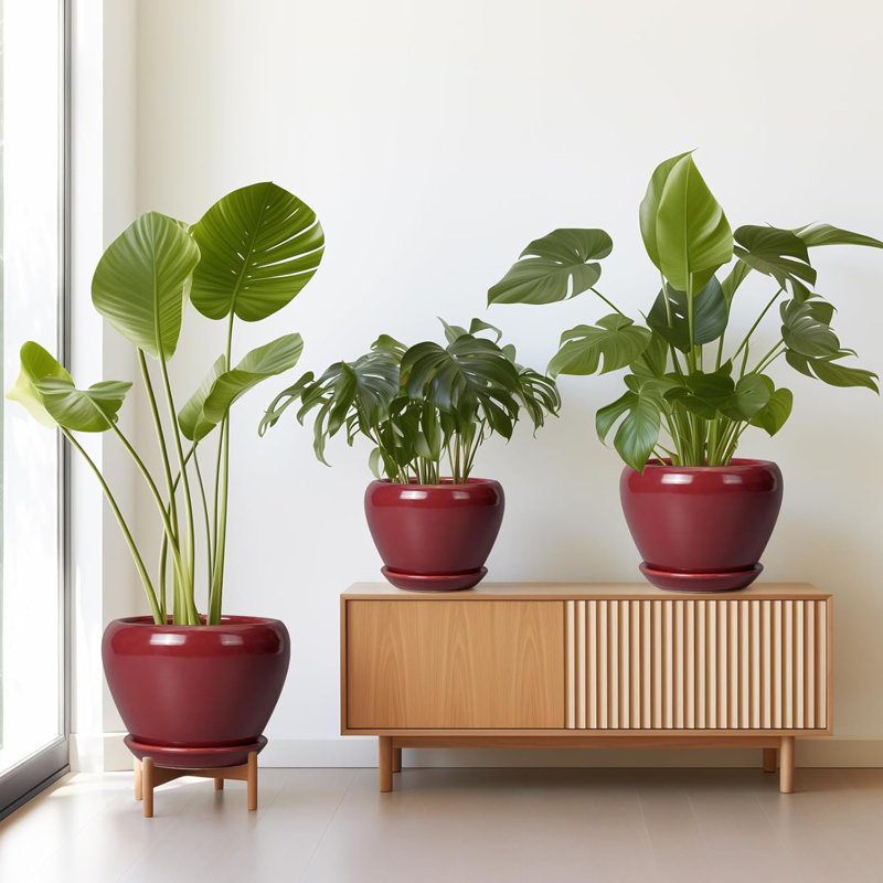 Ensemble de 3 jardinières en céramique rouge (10 po, 8 po, 6 po) avec trous de drainage et soucoupes