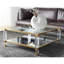 Coffee Table-164250646