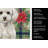 Toy White Poodle Christmas PoinsettIas Kitchen Towel-2080584044