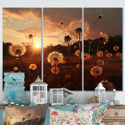 " Sunset Dandelion Field I "