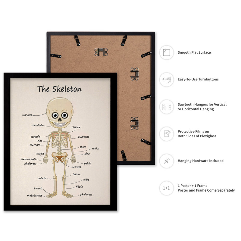 Le squelette, Black Framed, Poster, 18"H x 24"W