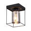 Alnesha Flush Ceiling Light