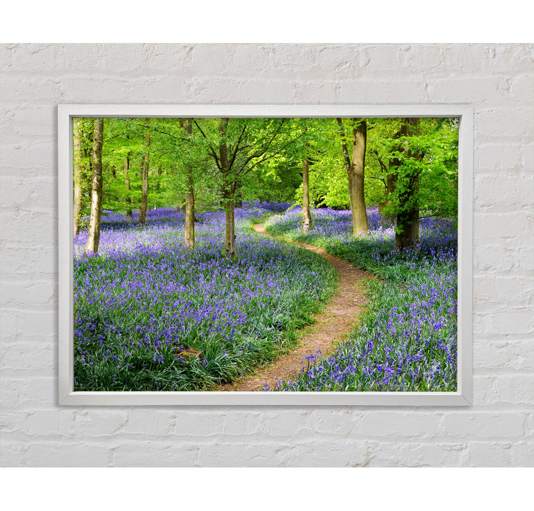 Walk Through The Bluebell Path - Einzelner Bilderrahmen Kunstdrucke auf Leinwand