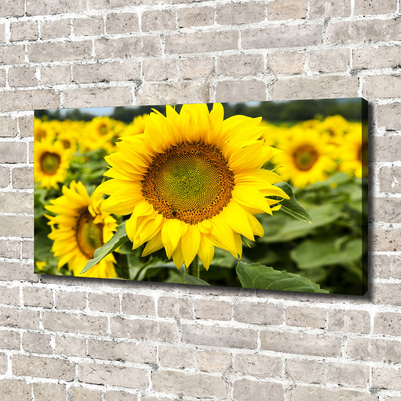 Field Of Sunflowers - Wrapped Canvas Print