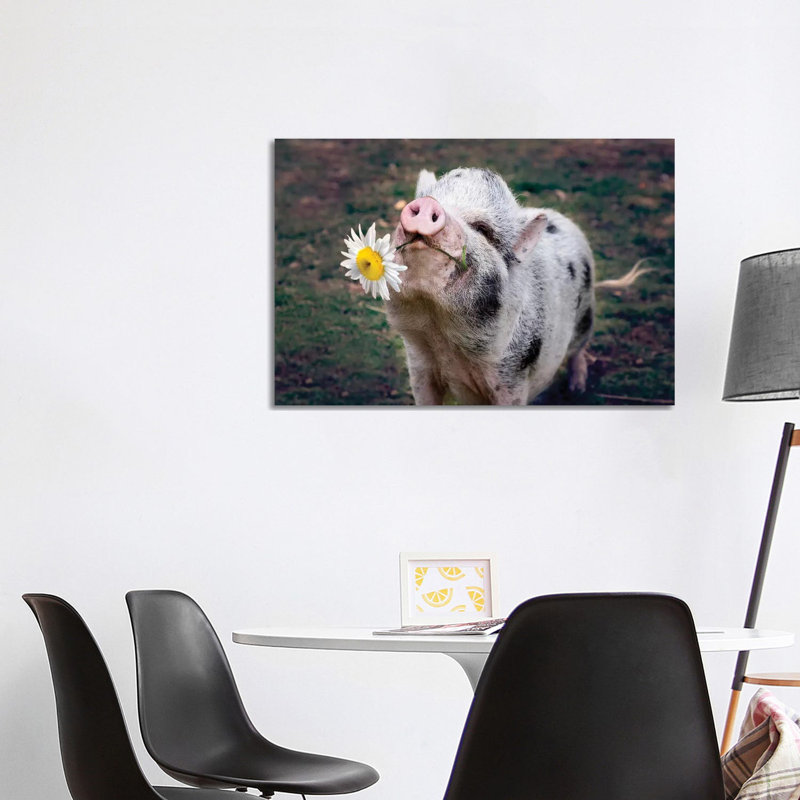 Miss Daisy by Karen Burke - Wrapped Canvas Print, 66.04cm H x 101.6cm W x 1.91cm D