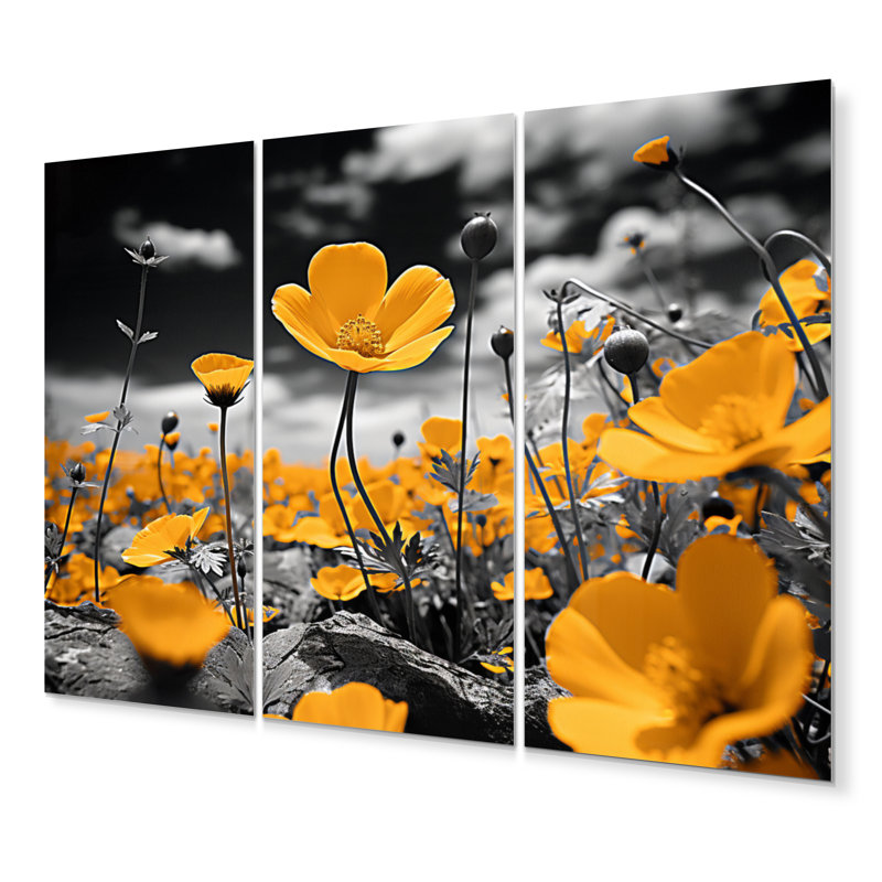 Yellow Grey Golden Buttercups Black And White I - Floral Metal Wall Decor Set