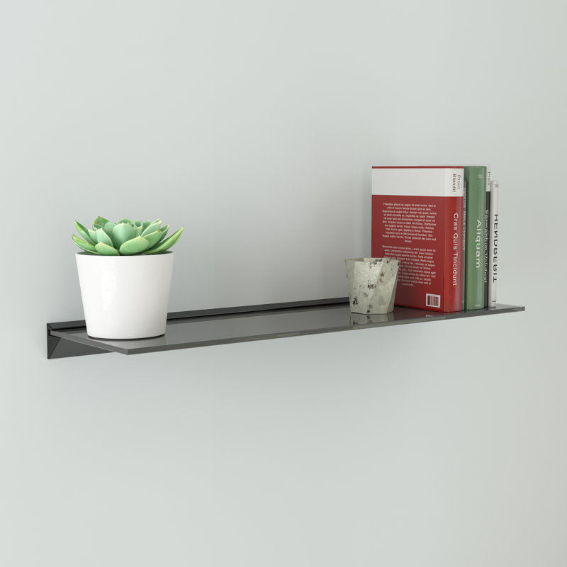 Reeana Metal Wall Mounted Shelving Unit, 5.5cm H x 80cm W x 25cm D