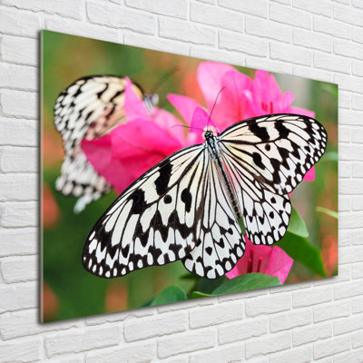 Butterfly On A Flower - No Frame Print on Glass