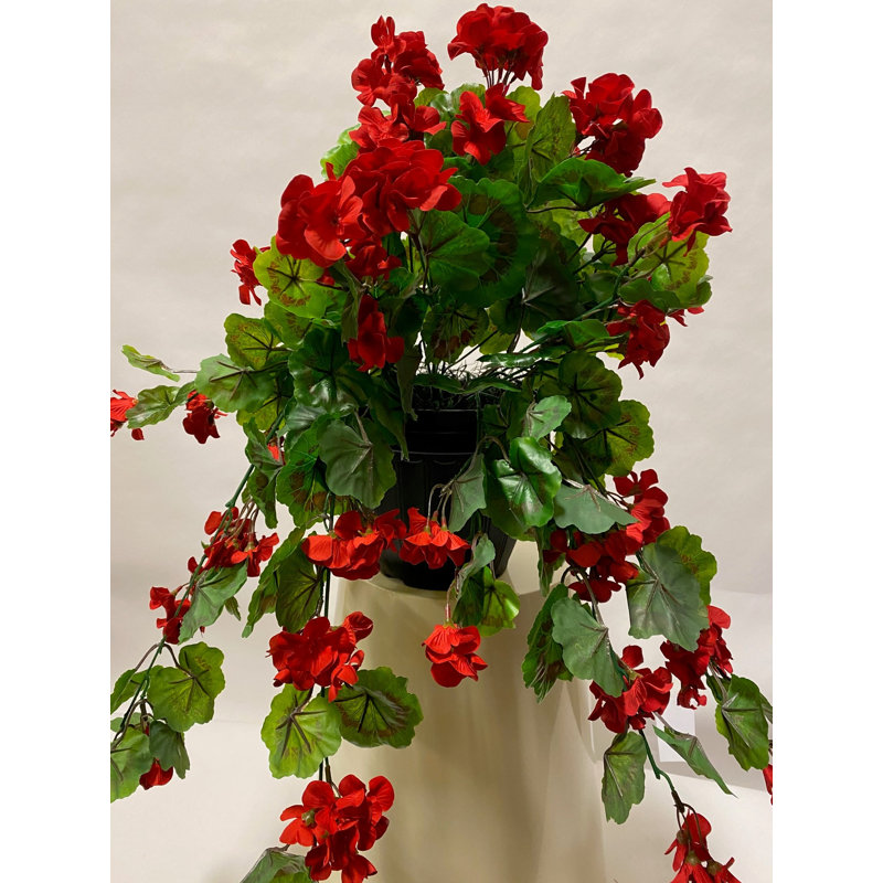 Arrangements floraux Gernaium, Rouge