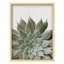 «Lush Green Succulent Botanical Nature Illustration Small Decor Art Work»-101376412-101376415