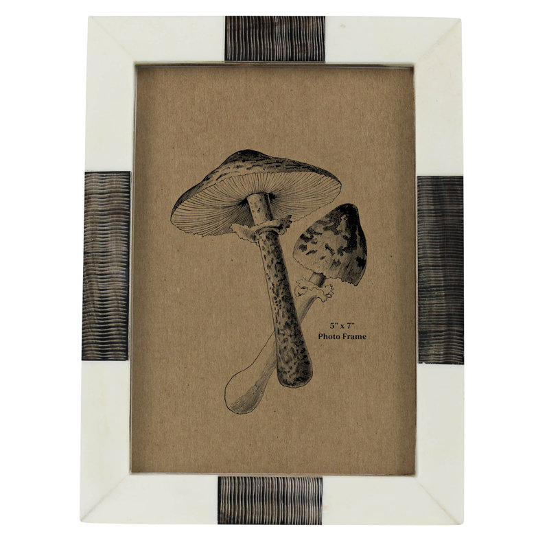 Cadre, os et corne chagrin - 5 x 7