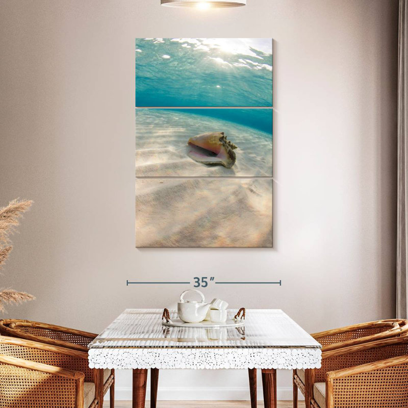 Aletra Underwater Seashell, 50" H x 32" W