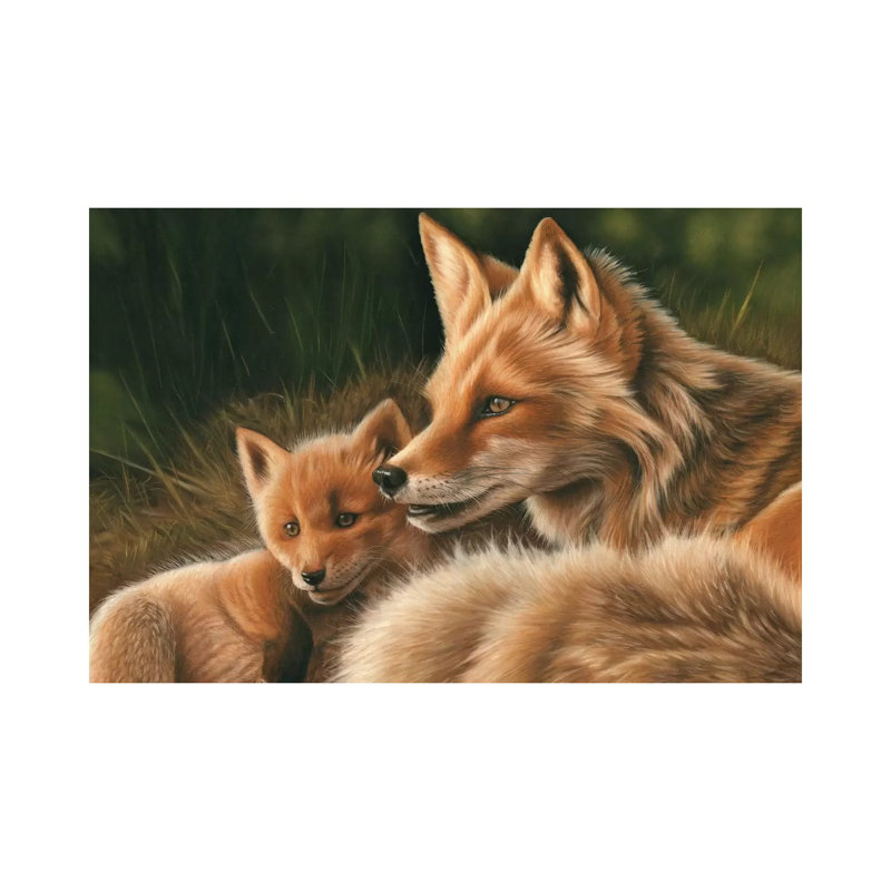 Fox And Cub by Richard Macwee - Wrapped Canvas Gallery-Wrapped Canvas Giclée, 20.32 cm H x 30.48 cm W