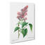 Pink Lilac Flowers by Pierre-Joseph Redoute - Wrapped Canvas Painting-55325508