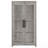 2-Door Engineered Wood Tall Cabinet