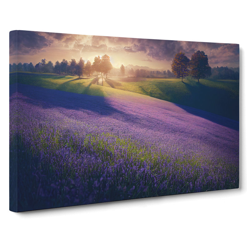 Majestic Bluebell Field - Wrapped Canvas