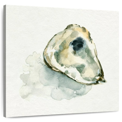 Aletra Old Salt Shell II
